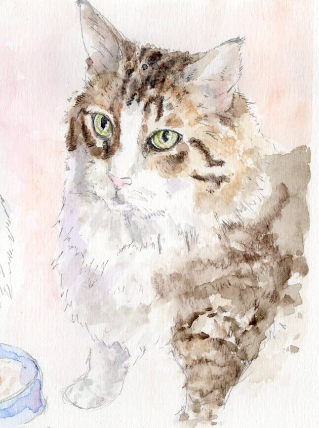 Custom Pet Watercolor Portrait - A5, A4, A3 Sizes - Personalized Pet Art - Free Shipping